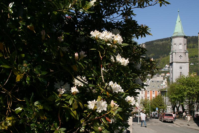 Bergen (19).jpg
